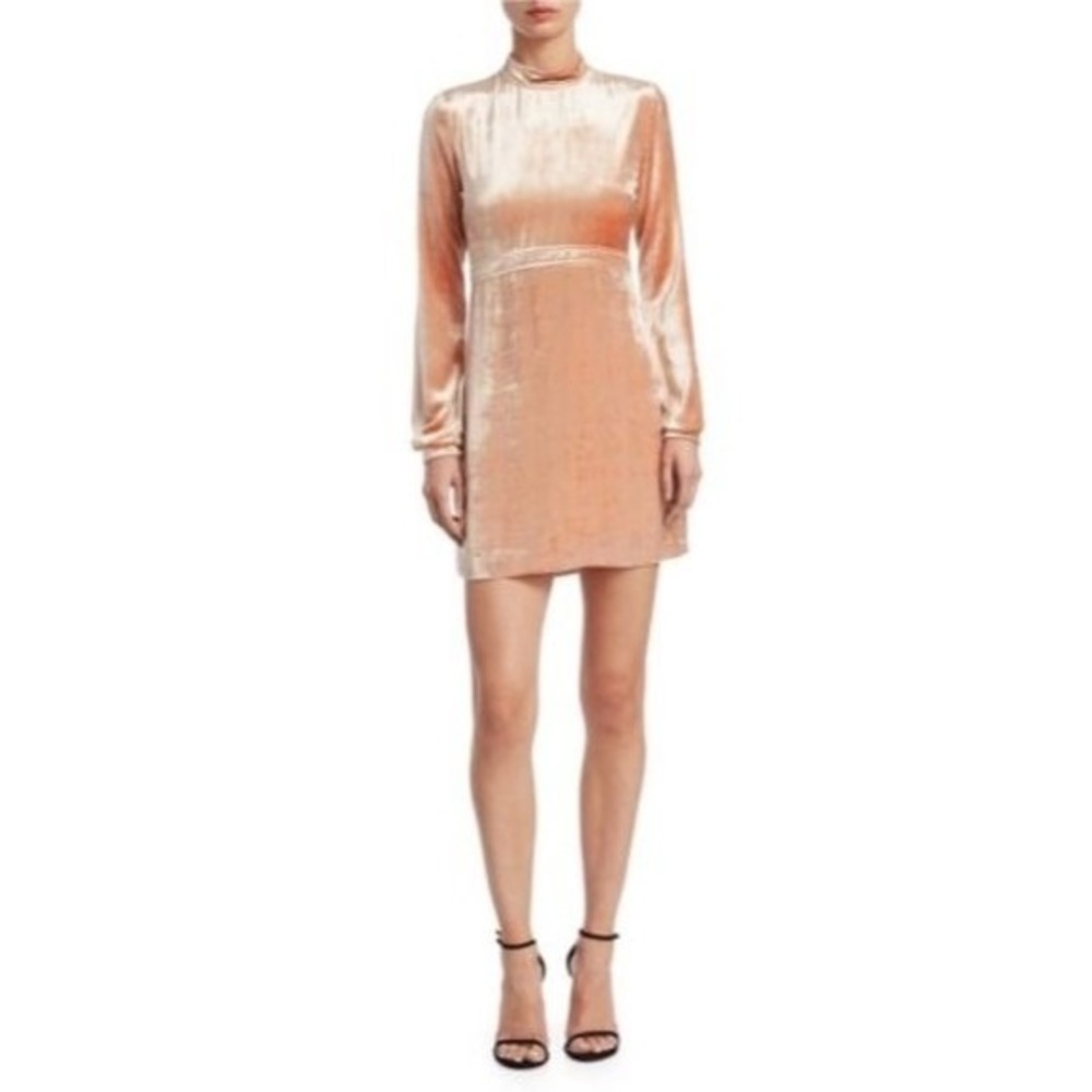 ALC Gemma Velour Mockneck Long Sleeve Mini Dress in Rose